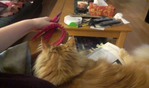 Me knitting... or trying to. The cat on my lap is kind of in the way. (Photo credit: Kathryn Walsh)